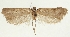  ( - MFN-29197-B02)  @11 [ ] CreativeCommons - Attribution Non-Commercial Share-Alike (2018) Peter Buchner Tiroler Landesmuseum