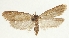  ( - MFN-29197-B04)  @11 [ ] CreativeCommons - Attribution Non-Commercial Share-Alike (2018) Peter Buchner Tiroler Landesmuseum