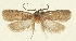 ( - MFN-29197-B10)  @11 [ ] CreativeCommons - Attribution Non-Commercial Share-Alike (2018) Peter Buchner Tiroler Landesmuseum