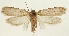  ( - MFN-29197-E04)  @11 [ ] CreativeCommons - Attribution Non-Commercial Share-Alike (2018) Peter Buchner Tiroler Landesmuseum