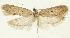  ( - MFN-29197-G10)  @11 [ ] CreativeCommons - Attribution Non-Commercial Share-Alike (2018) Peter Buchner Tiroler Landesmuseum