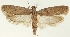  ( - MFN-29197-H09)  @11 [ ] CreativeCommons - Attribution Non-Commercial Share-Alike (2018) Peter Buchner Tiroler Landesmuseum