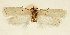  ( - MFN-30134-H08)  @11 [ ] CreativeCommons - Attribution Non-Commercial Share-Alike (2018) Peter Buchner Tiroler Landesmuseum