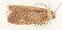  ( - MFN-30134-H11)  @11 [ ] CreativeCommons - Attribution Non-Commercial Share-Alike (2018) Peter Buchner Tiroler Landesmuseum