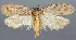  ( - NGS-30134-H03)  @11 [ ] CreativeCommons - Attribution Non-Commercial Share-Alike (2018) Peter Buchner Tiroler Landesmuseum