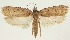  ( - TLMF Lep 23276)  @11 [ ] CreativeCommons - Attribution Non-Commercial Share-Alike (2018) Peter Buchner Tiroler Landesmuseum