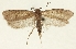  ( - TLMF Lep 23308)  @11 [ ] CreativeCommons - Attribution Non-Commercial Share-Alike (2018) Peter Buchner Tiroler Landesmuseum