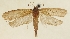  ( - TLMF Lep 23322)  @11 [ ] CreativeCommons - Attribution Non-Commercial Share-Alike (2018) Peter Buchner Tiroler Landesmuseum