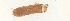  ( - TLMF Lep 23349)  @11 [ ] CreativeCommons - Attribution Non-Commercial Share-Alike (2018) Peter Buchner Tiroler Landesmuseum