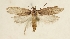  ( - TLMF Lep 23388)  @11 [ ] CreativeCommons - Attribution Non-Commercial Share-Alike (2018) Peter Buchner Tiroler Landesmuseum