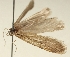  ( - TLMF Lep 23491)  @11 [ ] CreativeCommons - Attribution Non-Commercial Share-Alike (2018) Peter Buchner Tiroler Landesmuseum