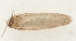  ( - TLMF Lep 23575)  @11 [ ] CreativeCommons - Attribution Non-Commercial Share-Alike (2018) Peter Buchner Tiroler Landesmuseum