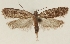  ( - TLMF Lep 26355)  @11 [ ] CreativeCommons - Attribution Non-Commercial Share-Alike (2018) Peter Buchner Tiroler Landesmuseum