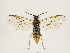  ( - ZMUO.030814)  @11 [ ] CreativeCommons - Attribution Non-Commercial (2018) Marko Mutanen University of Oulu