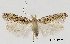  ( - TLMF Lep 32637)  @11 [ ] CreativeCommons - Attribution Non-Commercial Share-Alike (2022) Friedmar Graf Tiroler Landesmuseum