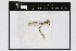  ( - 013-167)  @11 [ ] Copyright (2021) Unspecified Museo regionale di Scienze naturali Efisio Noussan, Regione Autonoma Valle d'Aosta