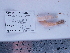  ( - PEB0092)  @11 [ ] CreativeCommons - Attribution Non-Commercial Share-Alike (2011) DFO DFO