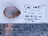  ( - PEB0129)  @12 [ ] CreativeCommons - Attribution Non-Commercial Share-Alike (2011) DFO DFO