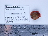  ( - PEB0145)  @12 [ ] CreativeCommons - Attribution Non-Commercial Share-Alike (2011) DFO DFO