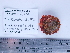  ( - PEB0146)  @13 [ ] CreativeCommons - Attribution Non-Commercial Share-Alike (2011) DFO DFO