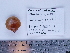  ( - PEB0151)  @13 [ ] CreativeCommons - Attribution Non-Commercial Share-Alike (2011) DFO DFO