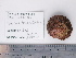  ( - PEB0242)  @13 [ ] CreativeCommons - Attribution Non-Commercial Share-Alike (2011) DFO DFO