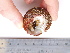  ( - PEB0242)  @13 [ ] CreativeCommons - Attribution Non-Commercial Share-Alike (2011) DFO DFO
