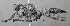  ( - KLMDip00524)  @11 [ ] CreativeCommons - Attribution Non-Commercial Share-Alike (2024) Ernst Hüttinger Landesmuseum Kärnten
