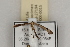  ( - DGH PXXX-0015)  @12 [ ] CreativeCommons - Attribution  Unspecified Unspecified