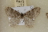  ( - DGH EUXX-0002)  @12 [ ] CreativeCommons - Attribution  Unspecified Unspecified