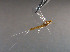  ( - SWRC-Cs IP 34)  @13 [ ] Copyright (2016) David H. Funk Stroud Water Research Center