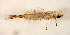  ( - SWRC-AL SKO7 46.rerun)  @11 [ ] Copyright (c) (2021) David H. Funk Stroud Water Research Center