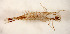  ( - SWRC-AL SKO7 65.rerun)  @11 [ ] Copyright (c) (2021) David H. Funk Stroud Water Research Center