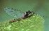  ( - SWRC-Ac_Ag_46)  @11 [ ] Copyright (c) (2024) David H. Funk Stroud Water Research Center