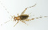  ( - SWRC-Ae_112)  @13 [ ] Copyright (2009) David H. Funk Unspecified