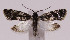  ( - MDH011771)  @14 [ ] No Rights Reserved (2016) N/A N/A