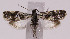  ( - MDH012463)  @11 [ ] No Rights Reserved (2016) N/A N/A