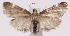  ( - MDH007861)  @11 [ ] No Rights Reserved (2016) N/A N/A