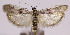  ( - MDH008037)  @11 [ ] No Rights Reserved (2016) N/A N/A
