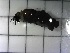  ( - SSI-Truckee-49441-F4)  @11 [ ] by-nc-sa (2024) David Herbst Sierra Streams Institute
