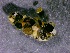  ( - SSI-Truckee-49440-C2)  @11 [ ] by-nc-sa (2024) David Herbst Sierra Streams Institute