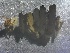  ( - SSI-Yuba-44350-E11)  @11 [ ] by-nc-sa (2024) Unspecified Sierra Streams Institute