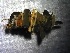  ( - SSI-Yuba-44351-A9)  @11 [ ] by-nc-sa (2024) Unspecified Sierra Streams Institute