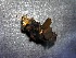  ( - SSI-American-44355-C6)  @11 [ ] by-nc-sa (2024) Unspecified Sierra Streams Institute
