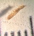  ( - SSI-Yuba-44346-G9)  @11 [ ] Unspecified (default): All Rights Reserved  Unspecified Unspecified