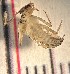  ( - SSI-Yuba-44346-G12)  @11 [ ] Unspecified (default): All Rights Reserved  Unspecified Unspecified