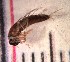  ( - SSI-Yuba-44346-H8)  @11 [ ] Unspecified (default): All Rights Reserved  Unspecified Unspecified
