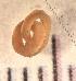 ( - SSI-Yuba-44346-H9)  @11 [ ] Unspecified (default): All Rights Reserved  Unspecified Unspecified