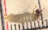 ( - SSI-Yuba-44348-A2)  @11 [ ] Unspecified (default): All Rights Reserved  Unspecified Unspecified