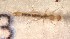  ( - SSI-Yuba-44348-G12)  @11 [ ] Unspecified (default): All Rights Reserved  Unspecified Unspecified